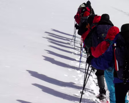 57 la trace dans la neige vierge...