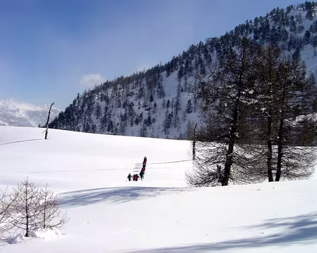 61 la neige vierge, le soleil, la montagne...