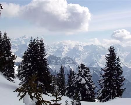 01 Attention, il fait beau, les oufs vont sortir !