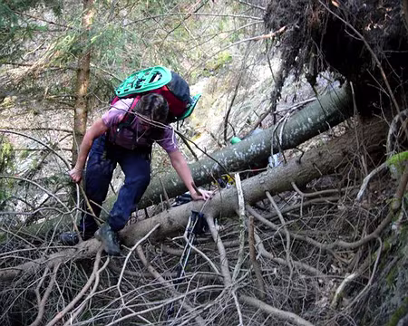 03 Un Ouf à raquettes ? Dernières migrations du printemps !