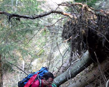 04 Remise en forme matinale : sentes disparues, acrobaties, petits pas sur roche