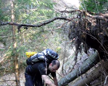 06 Tiens, il en restait un !