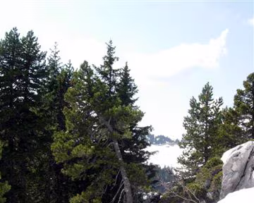 10 Ca doit être par là.