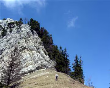 37 Les Oufs repartent...