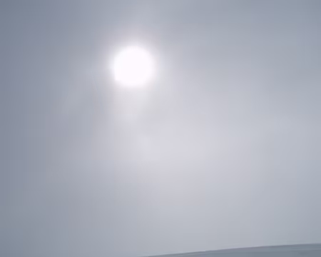 061 Timide tentative.