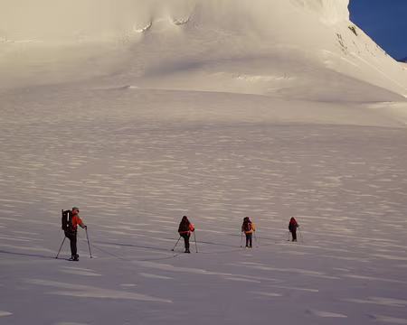 076 Un petit air de Laponie sous le soleil rasant.
