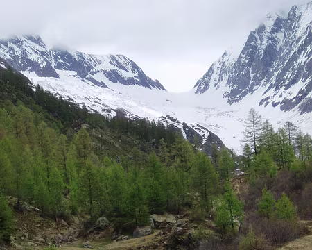 102 Au fond le Lötschnenlücke et la cabane Hollandia.