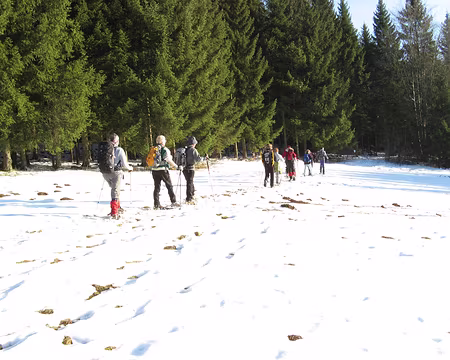jura 003 Lisière de forêt