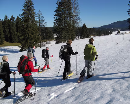 jura 006 Groupe décidé