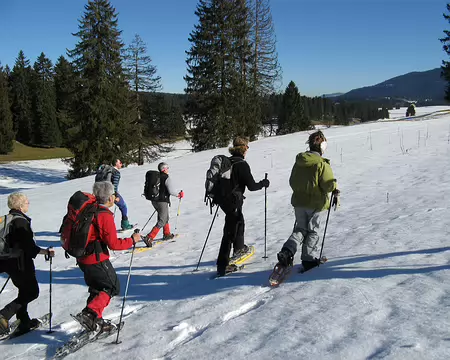 jura 006 Groupe décidé