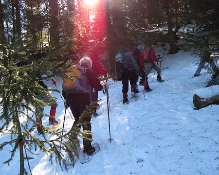 jura 008z2210 Contre jour ? (à méditer)