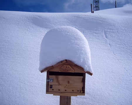 005 Les toits sont lourdement chargés