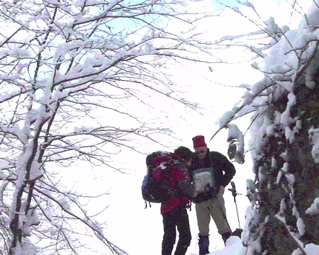 009 … mais les organisateurs se concertent