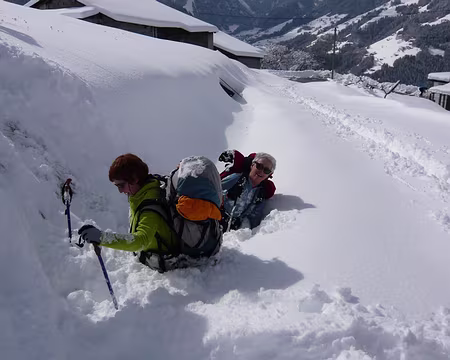 020 … et vont jusqu’à prendre des bains de neige