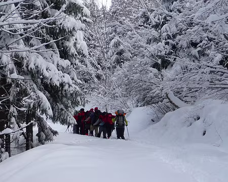 023 Restons groupés !