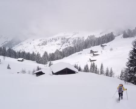 033 Descente sur Colombe