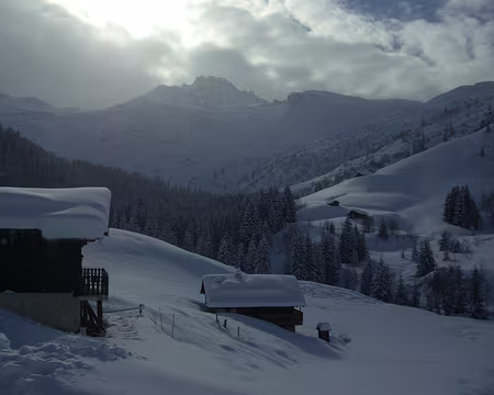 042 Tête de la Cicle