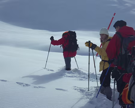 046 Traceuse à l’œuvre