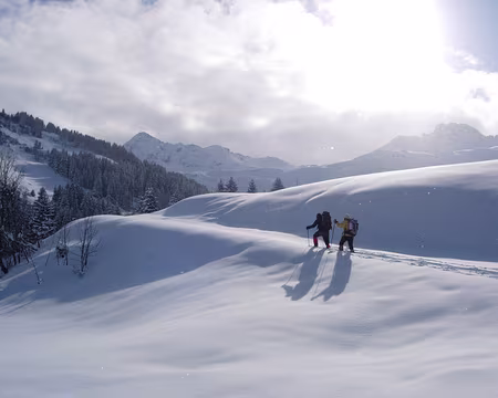 048 Exercices de style sur le thème de la trace…