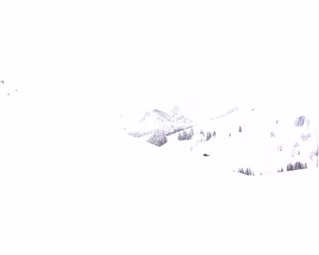 054 Deux raquettistes sont perdus dans ce paysage enneigé