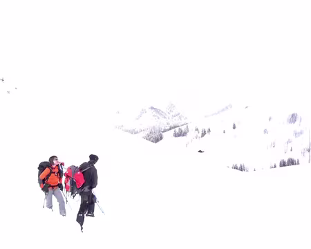 055 Saurez-vous les retrouver ?