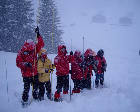 067 Les sondages, une méthode bien peu scientifique