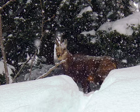 080 T’as de beaux yeux, tu sais