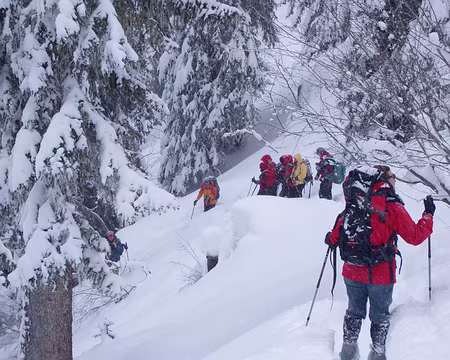 085 En forêt du Bersend