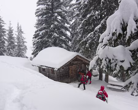 090 L’abri, tout le monde l’apprécie
