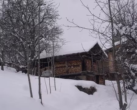 102 Quand homme blanc couper beaucoup bois…