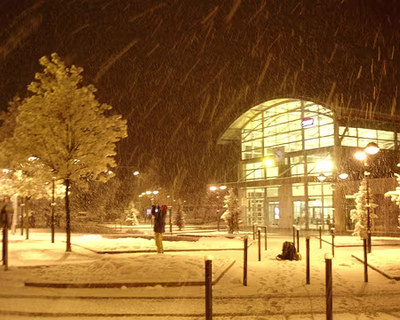 108 Albertville, lundi soir : les fleurs sont sous la neige.