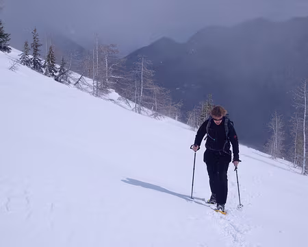 S1031842 la météo n'est pas si mauvaise, mais le vent se lève
