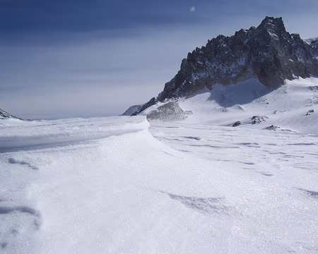 30a Gros plan sur un zastrugis.