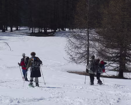 584 Descente vers Molines.