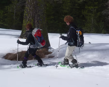 631 Redescente vers Saint-Véran.