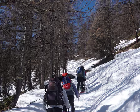 640 Montée au sommet Bucher, depuis la Rua en Molines.