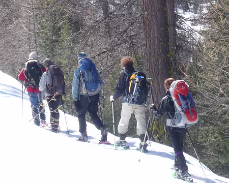 671 Descente vers la Fontaine Rouge, sur le GR 5.