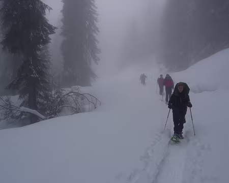 01 Vallée du Torrent de la Croix