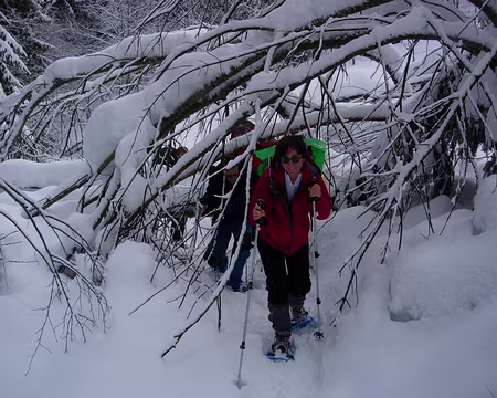 03 Bois de la Jorasse