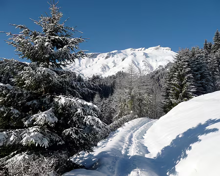 05 Aux pieds de Fébrouge