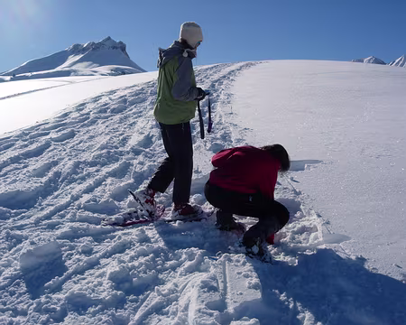 40 Quelques exercices Arva-pelle-sonde