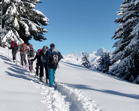 42 Vers la Croix de la Tête Noire