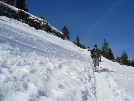 2009-02 Plateau des Glieres