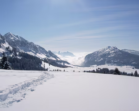 05 Soleil et ciel bleu dans les Glières!