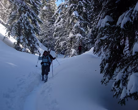 13 Traversée par le Nant des Brassets