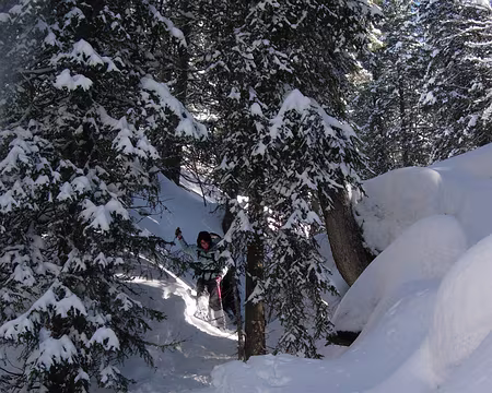 14 Ressaut au Nant des Brassets