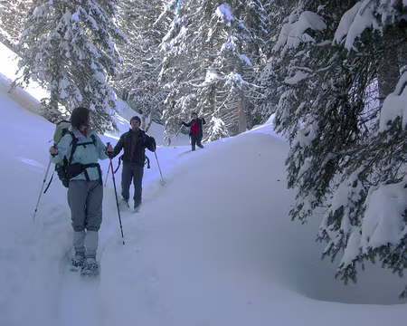 17 Traversée par le Nant des Brassets