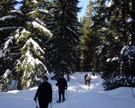 20 Retour par le Col des Fretes