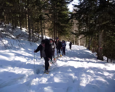 006 Ca y est, c'est parti...