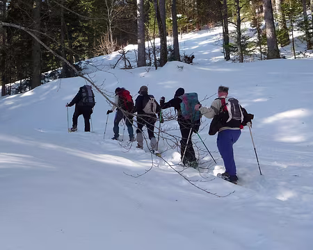 007 La colonne en marche